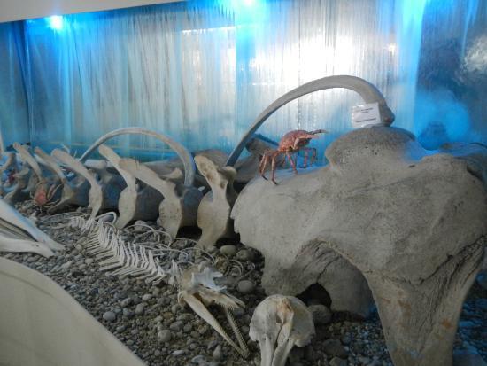 Muzeum Muszli w Korfu